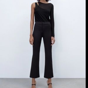 Zara Mini Flare Plants